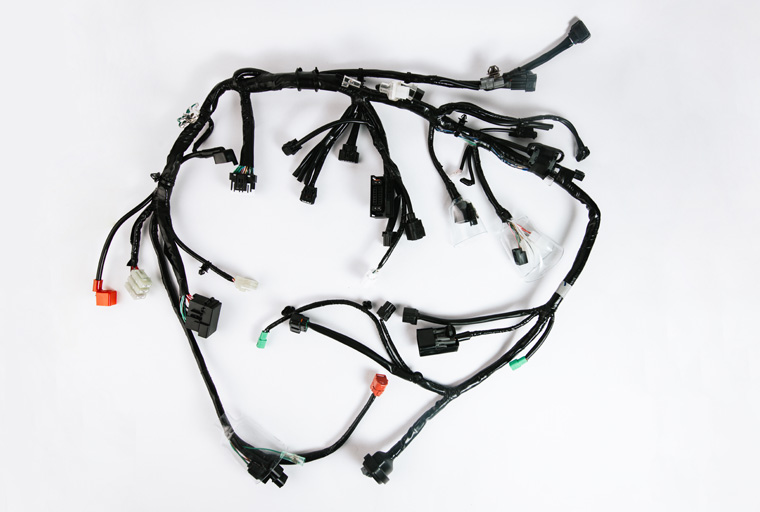 Main Harness